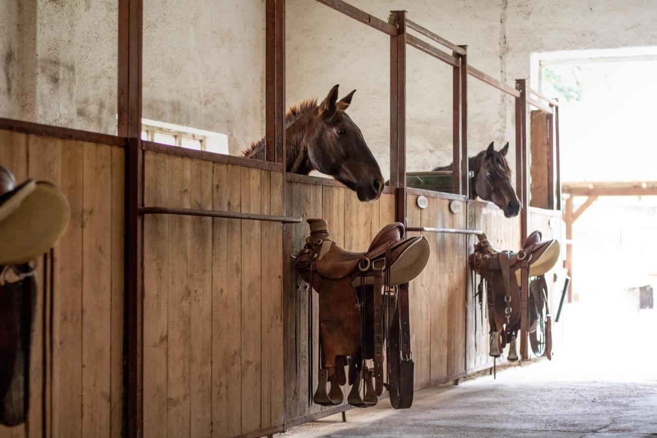 Ranc Cerveny Mlyn Villa Lisov  Exteriör bild